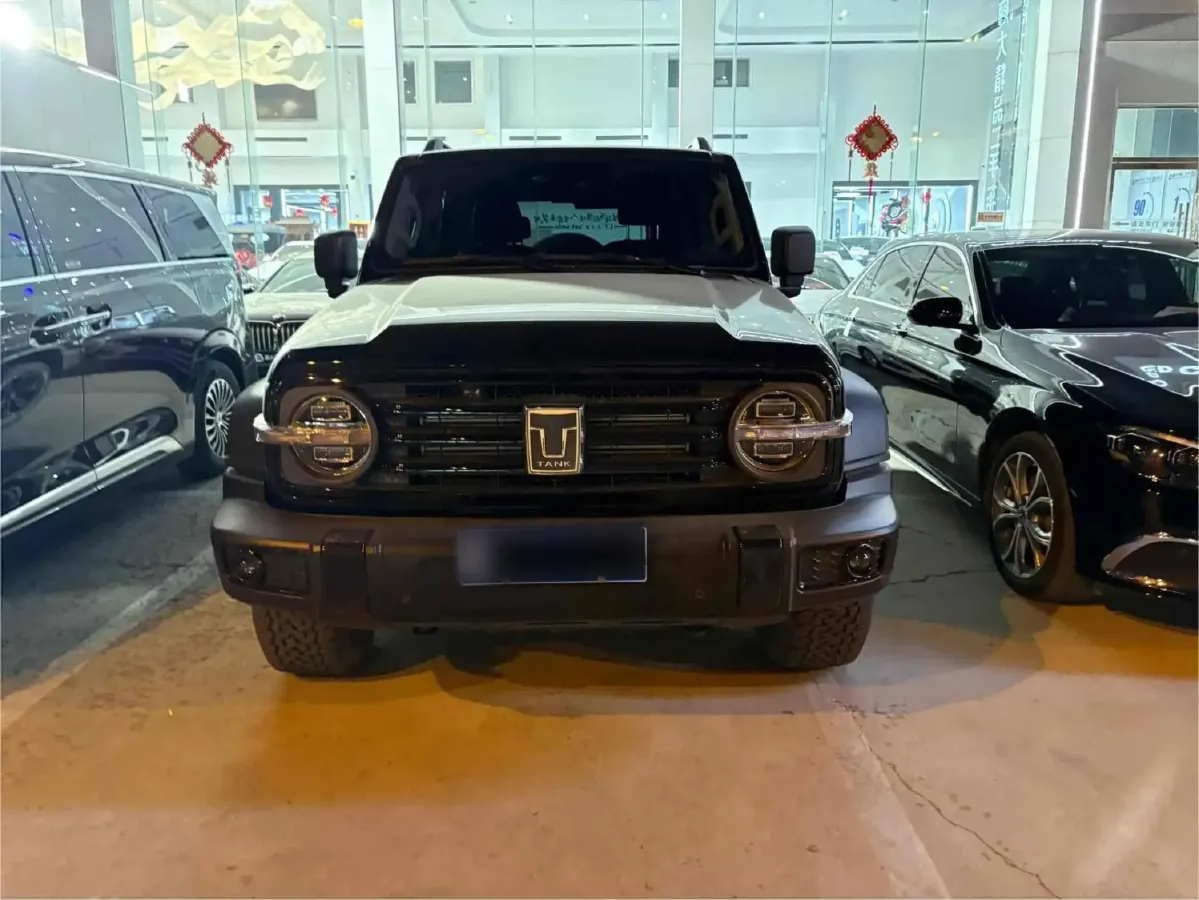 2024 Tank 300 2.0T 227HP L4 8AT,autocango,china used car exporter,china ev exporter,chinese used car exporter,chinese used ev exporter