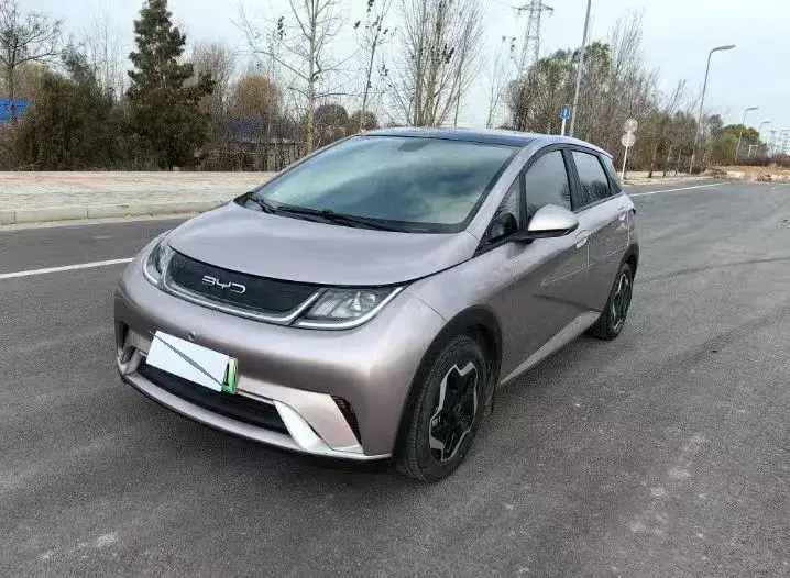 2021 BYD Dolphin BEV 44.9KWH