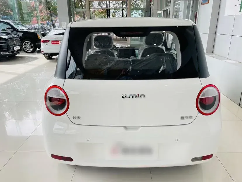 2023 ChangAn Lumin BEV 17.65KWH,autocango,china used car exporter,china ev exporter,chinese used car exporter,chinese used ev exporter