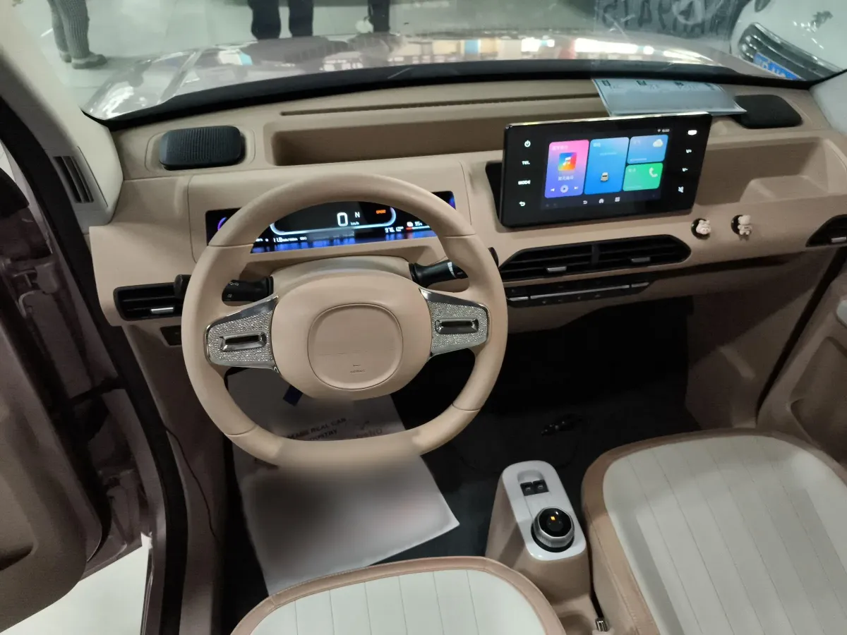 2023 Geely Panda BEV 17.03KWH,autocango,china used car exporter,china ev exporter,chinese used car exporter,chinese used ev exporter