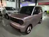 2023 Geely Panda BEV 17.03KWH