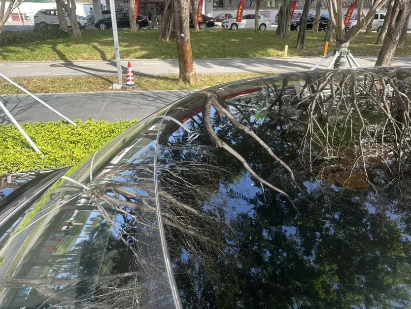 2023 Li L8 Range Extended 154HP REEV 40.9KWH,autocango,china used car exporter,china ev exporter,chinese used car exporter,chinese used ev exporter