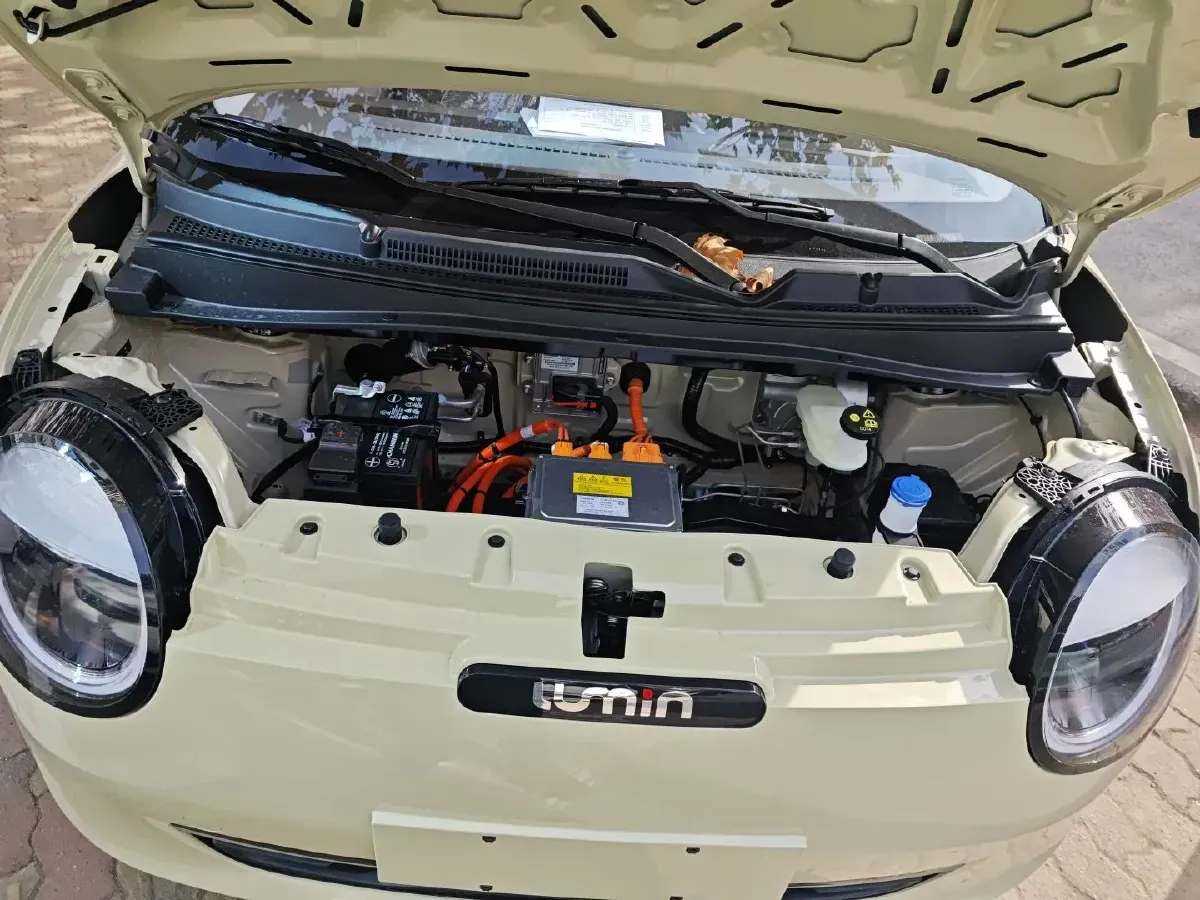 2023 ChangAn Lumin BEV 17.65KWH,autocango,china used car exporter,china ev exporter,chinese used car exporter,chinese used ev exporter