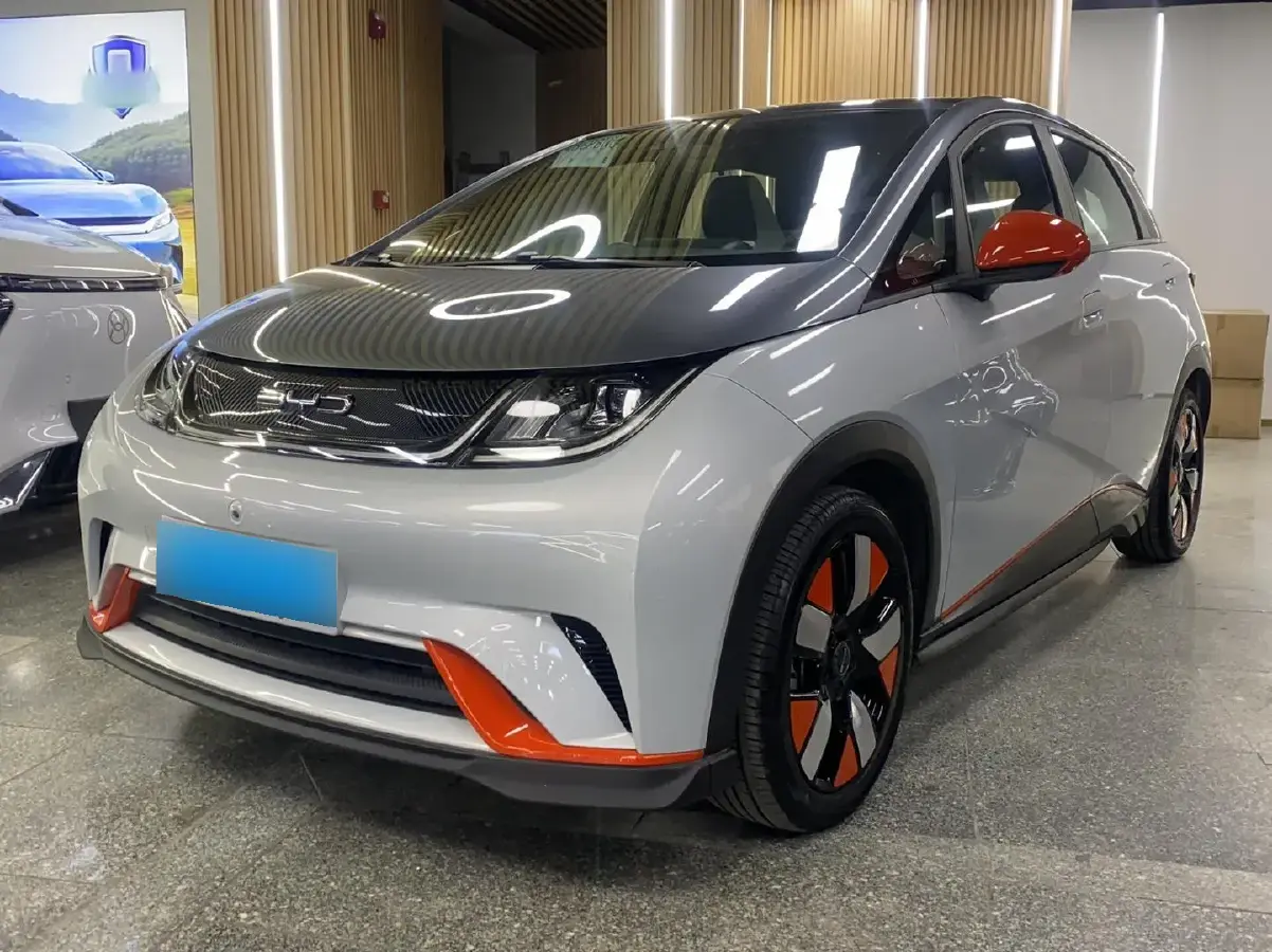 2021 BYD Dolphin BEV 44.9KWH