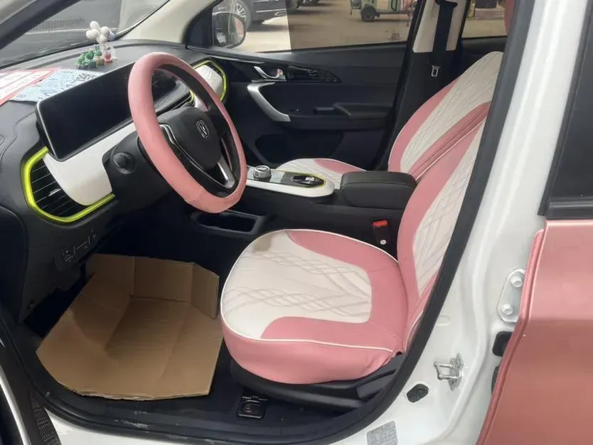 2020 ChangAn BenBen E-Star BEV 32.2KWH,autocango,china used car exporter,china ev exporter,chinese used car exporter,chinese used ev exporter