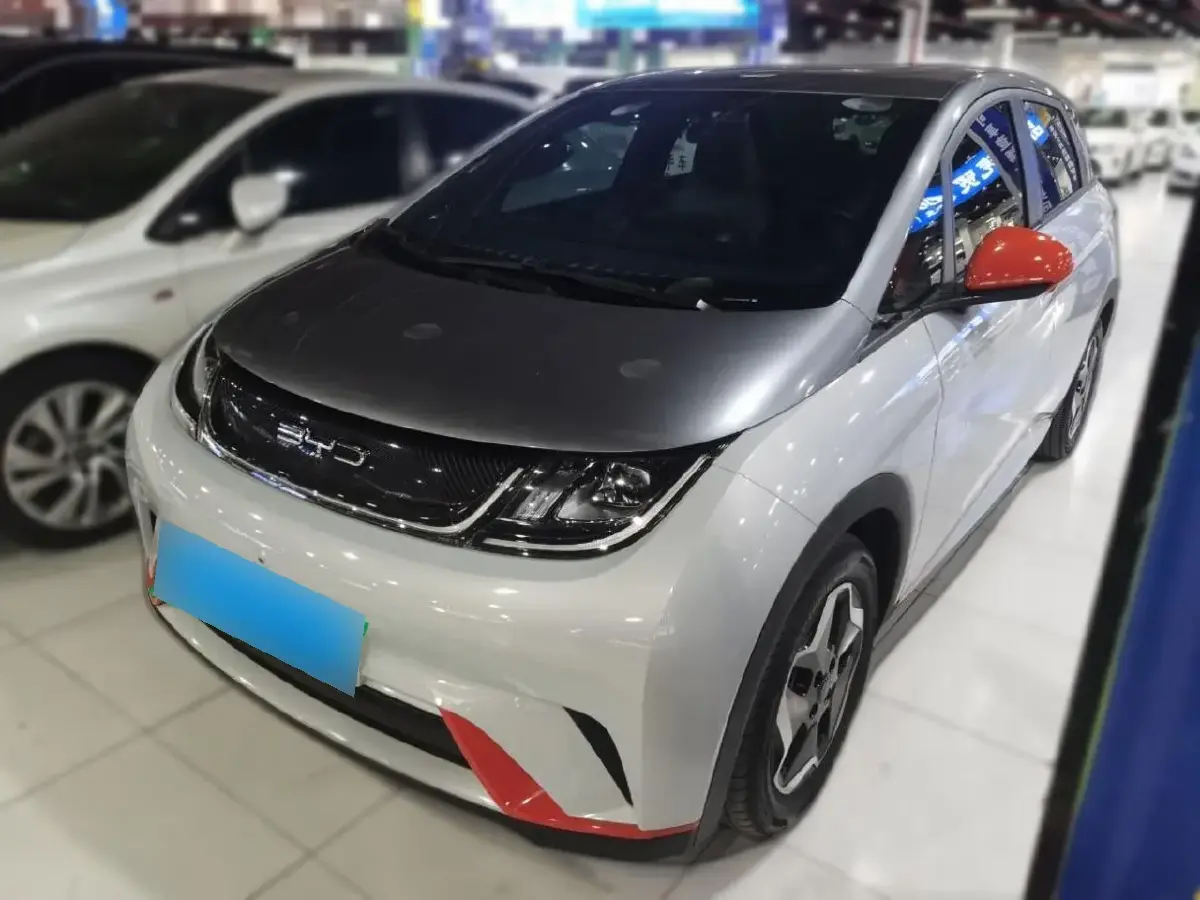 2021 BYD Dolphin BEV 44.9KWH