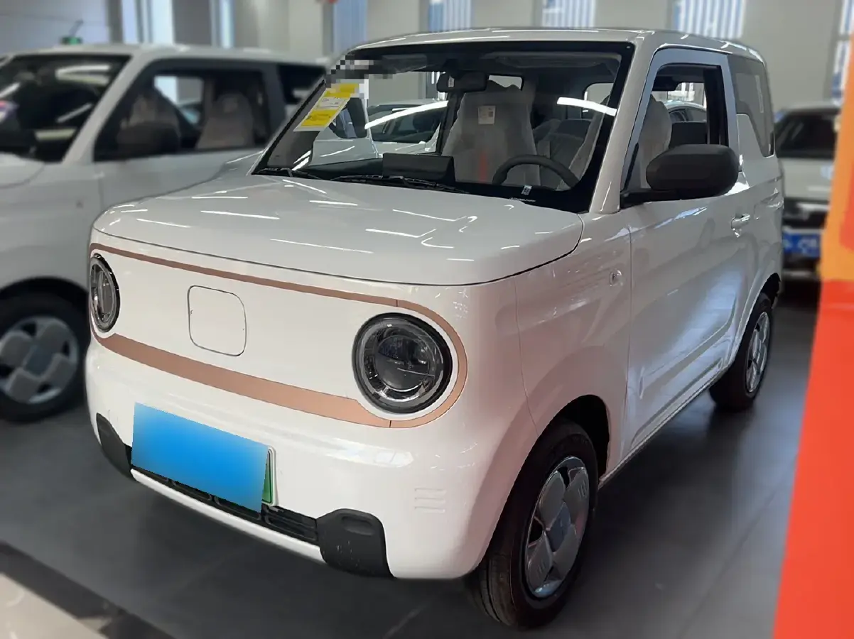 2024 Geely Panda BEV 17.03KWH