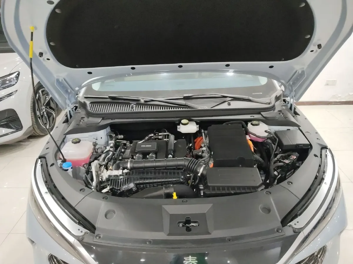 2024 BYD QinL 1.5L 101HP L4 E-CVT PHEV 15.87KWH,autocango,china used car exporter,china ev exporter,chinese used car exporter,chinese used ev exporter