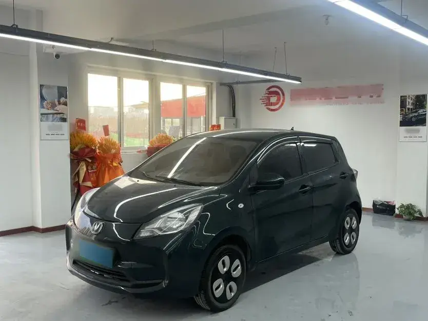 2021 ChangAn BenBen E-Star BEV 31.95KWH