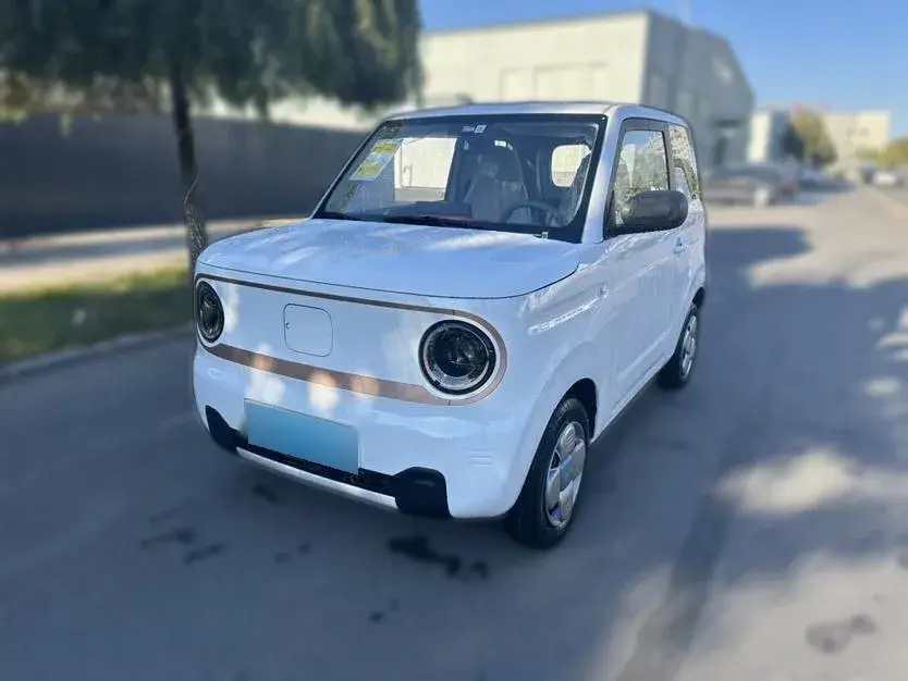 2024 Geely Panda BEV 17.03KWH
