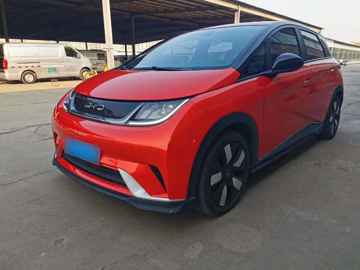 2021 BYD Dolphin BEV 44.9KWH