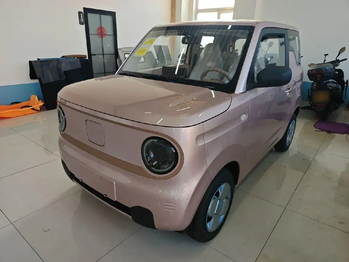 2024 Geely Panda BEV 17.03KWH