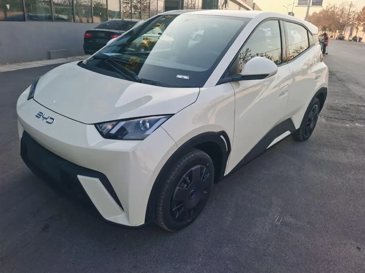 2024 BYD Seagull BEV 30.08KWH