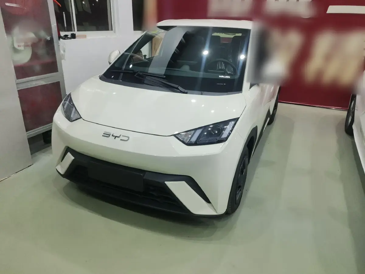 2025 BYD Seagull BEV 30.08KWH