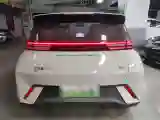 2023 BYD Seagull BEV 30.08KWH