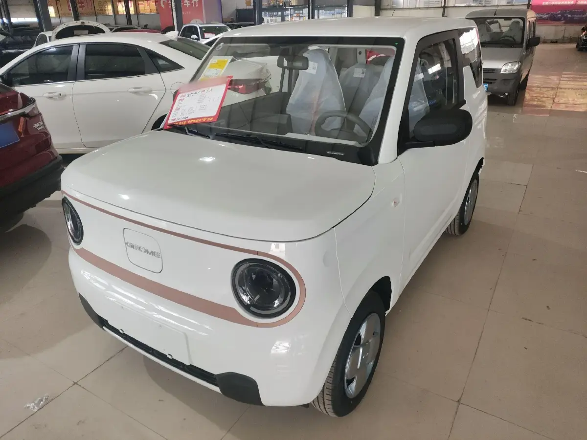 2024 Geely Panda BEV 17.03KWH