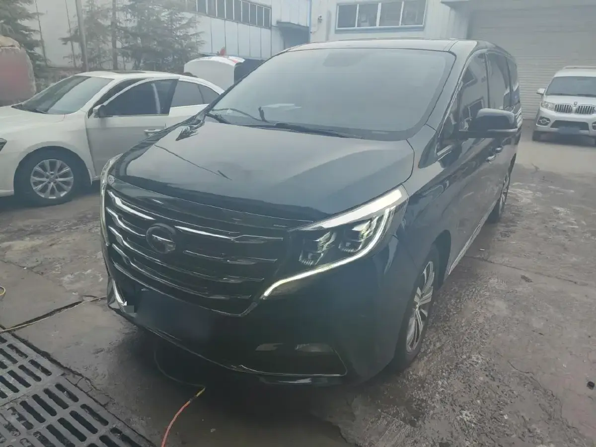 2018 GAC Trumpchi M8 2.0T 201HP L4 6AT