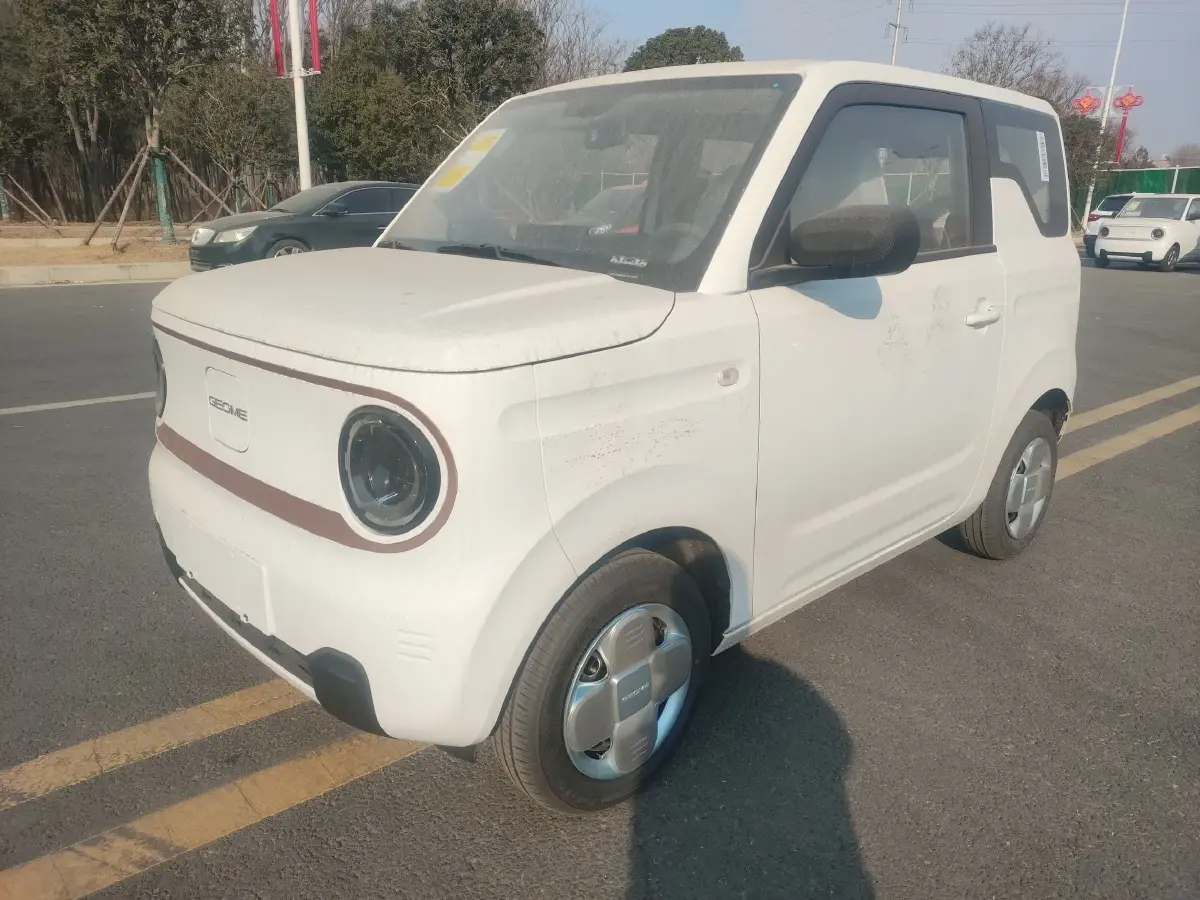 2024 Geely Panda BEV 17.03KWH