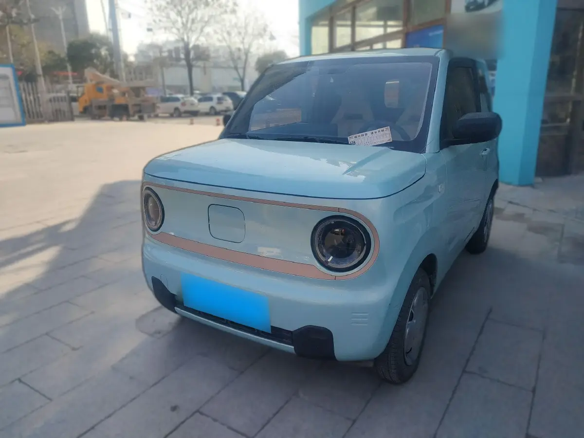 2024 Geely Panda BEV 17.03KWH