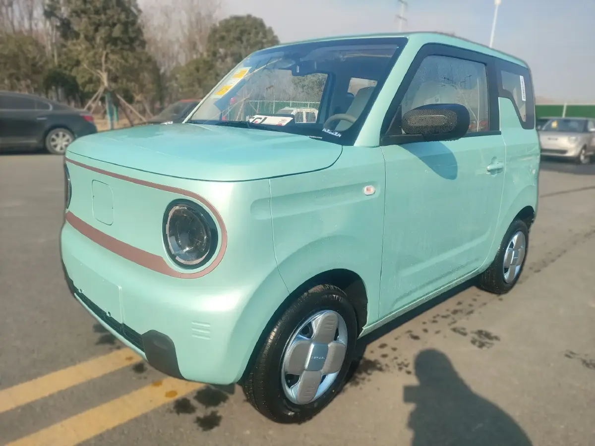 2024 Geely Panda BEV 17.03KWH