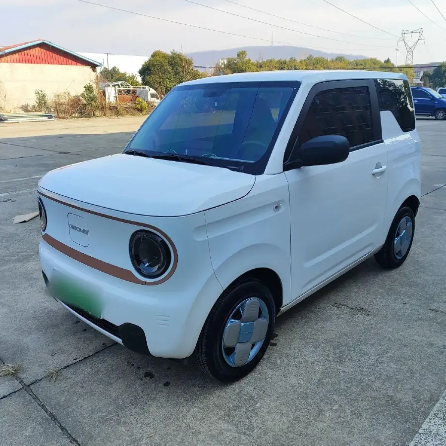 2024 Geely Panda BEV 17.03KWH