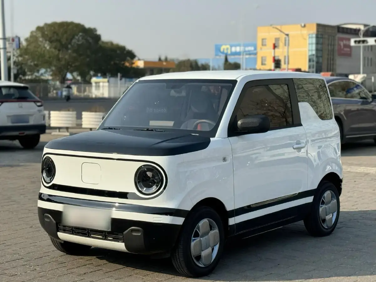 2023 Geely Panda BEV 17.03KWH