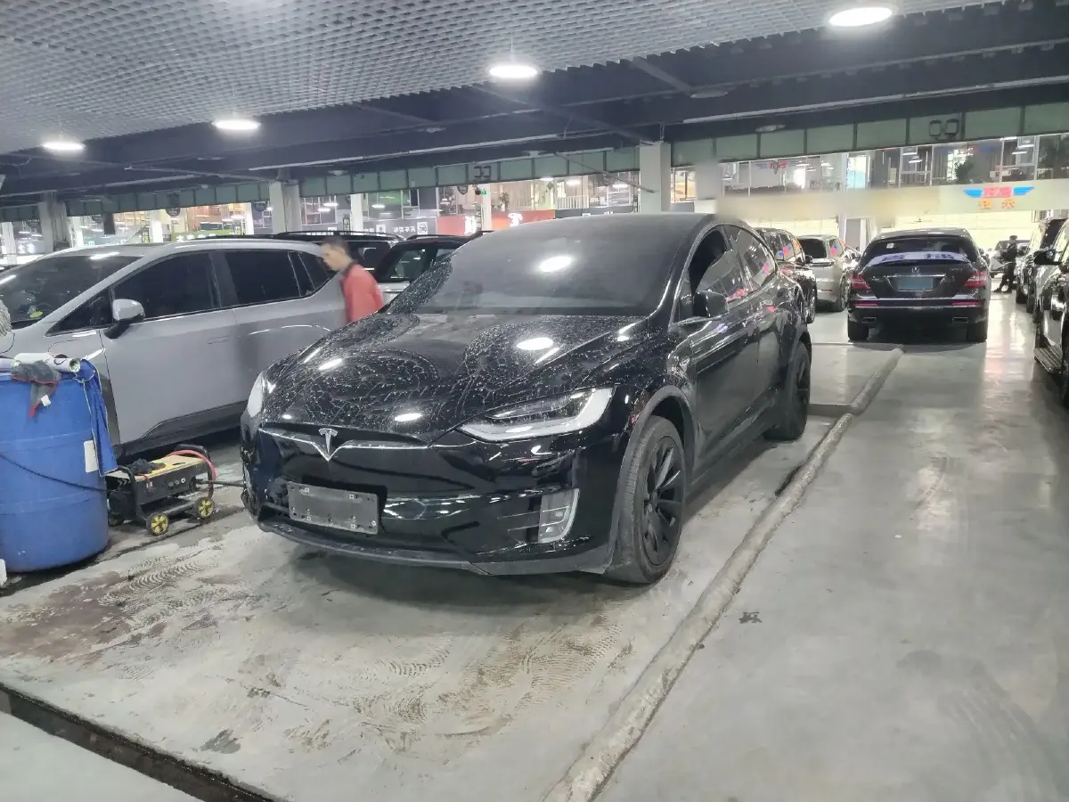 2019 Tesla Model X BEV 100KWH