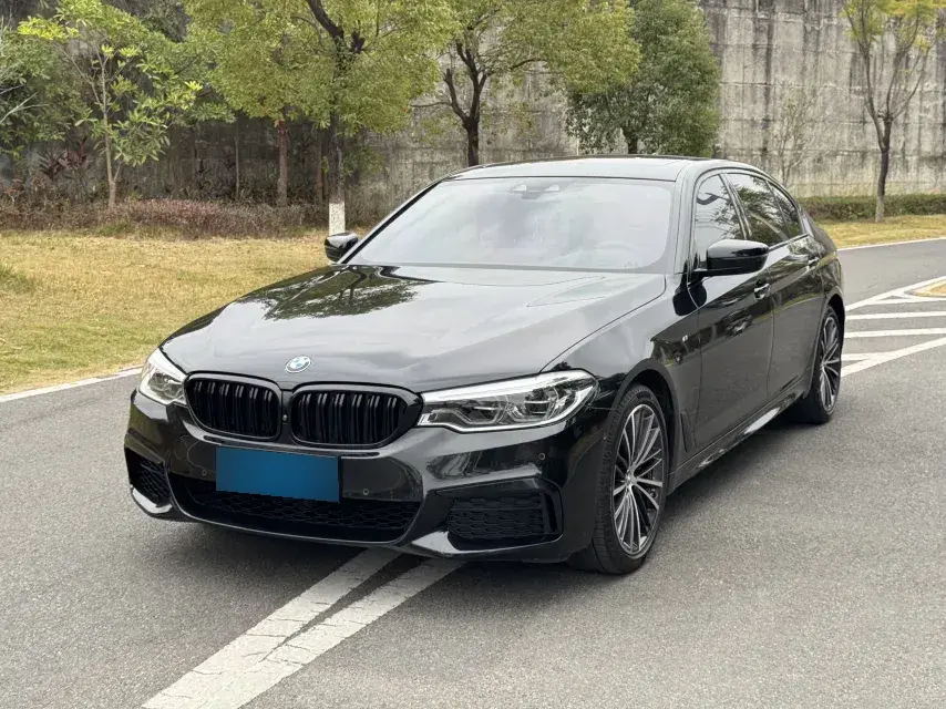 2019 BMW 5 Series 2.0T 252HP L4 8AT