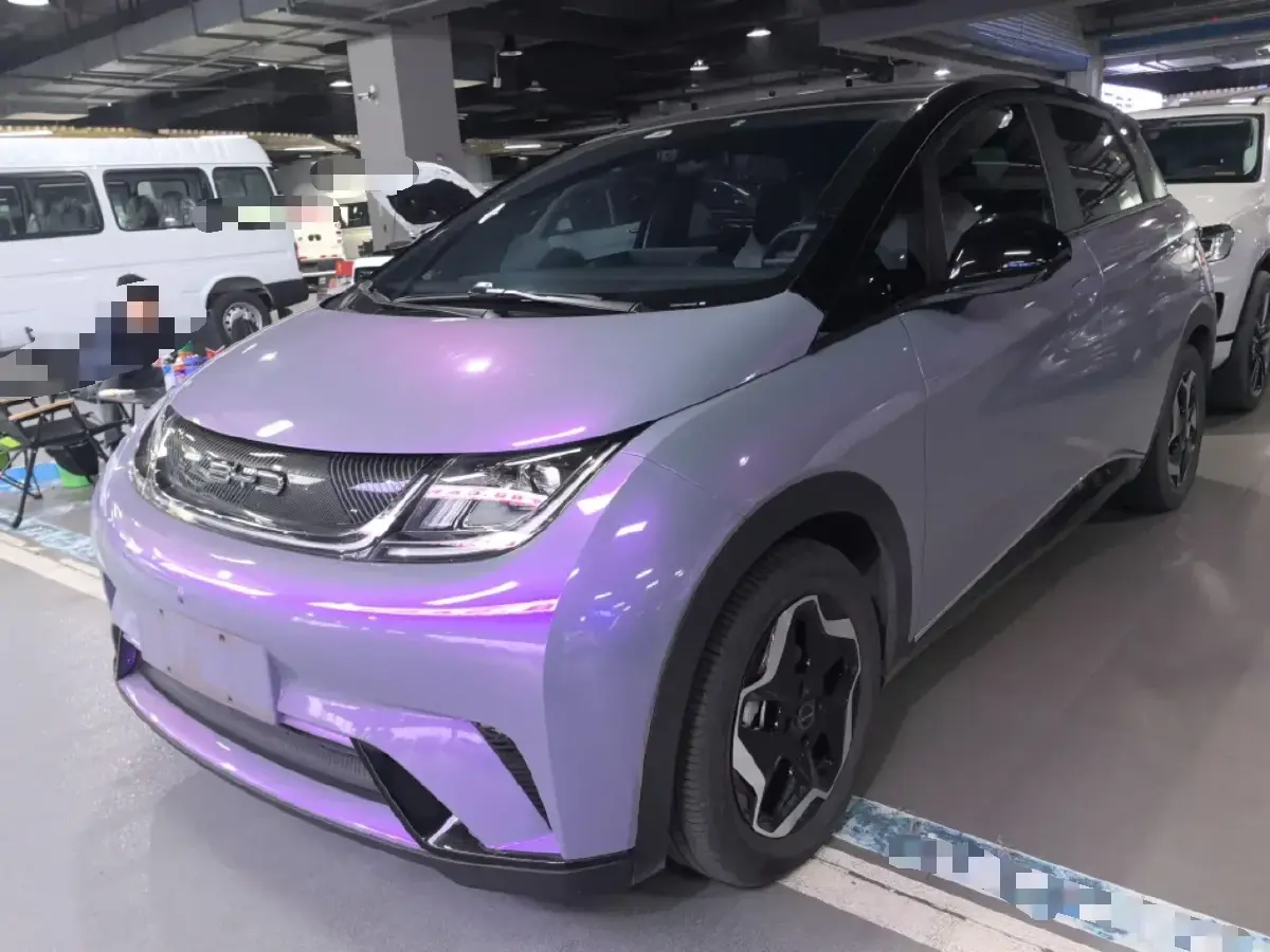 2021 BYD Dolphin BEV 44.9KWH