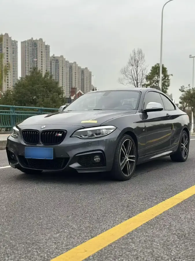 2019 BMW 2 Series 2.0T 184HP L4 8AT