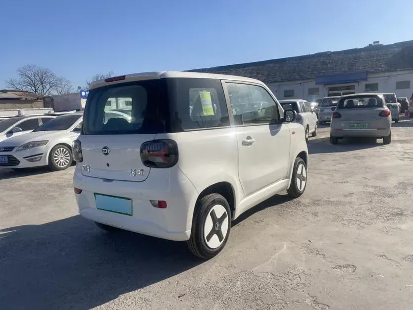 2024 ZD Rainbow BEV 17.3KWH,autocango,china used car exporter,china ev exporter,chinese used car exporter,chinese used ev exporter