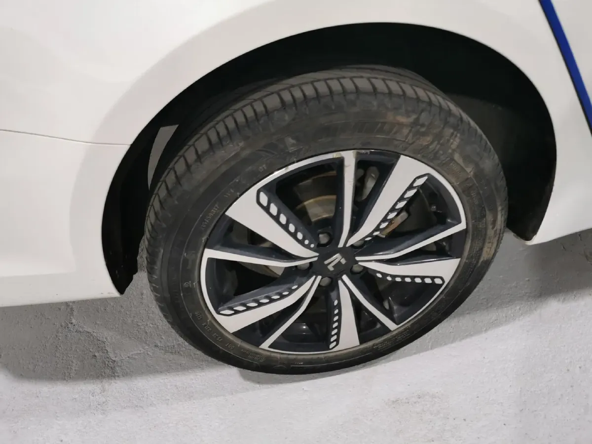 2021 Rising Auto ER6 BEV 69.9KWH,autocango,china used car exporter,china ev exporter,chinese used car exporter,chinese used ev exporter