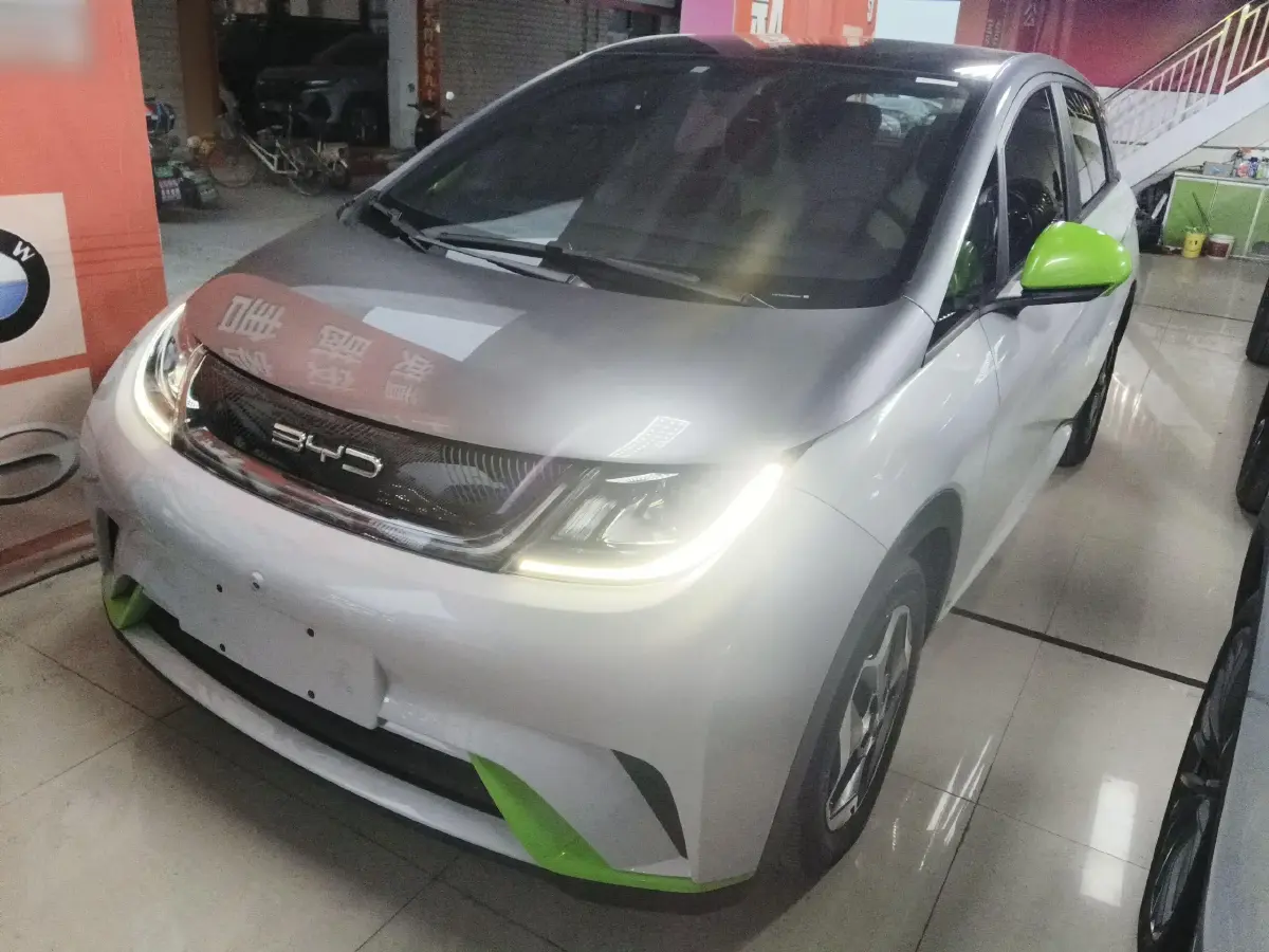 2021 BYD Dolphin BEV 44.9KWH