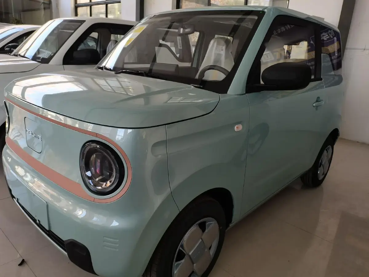 2024 Geely Panda BEV 17.03KWH