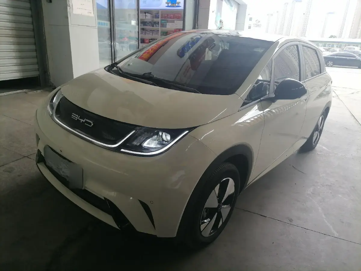 2023 BYD Dolphin BEV 44.928KWH
