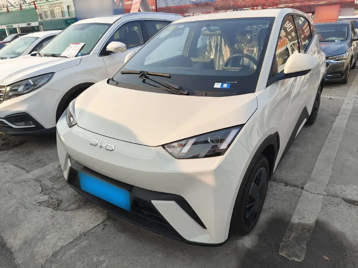 2025 BYD Seagull BEV 30.08KWH