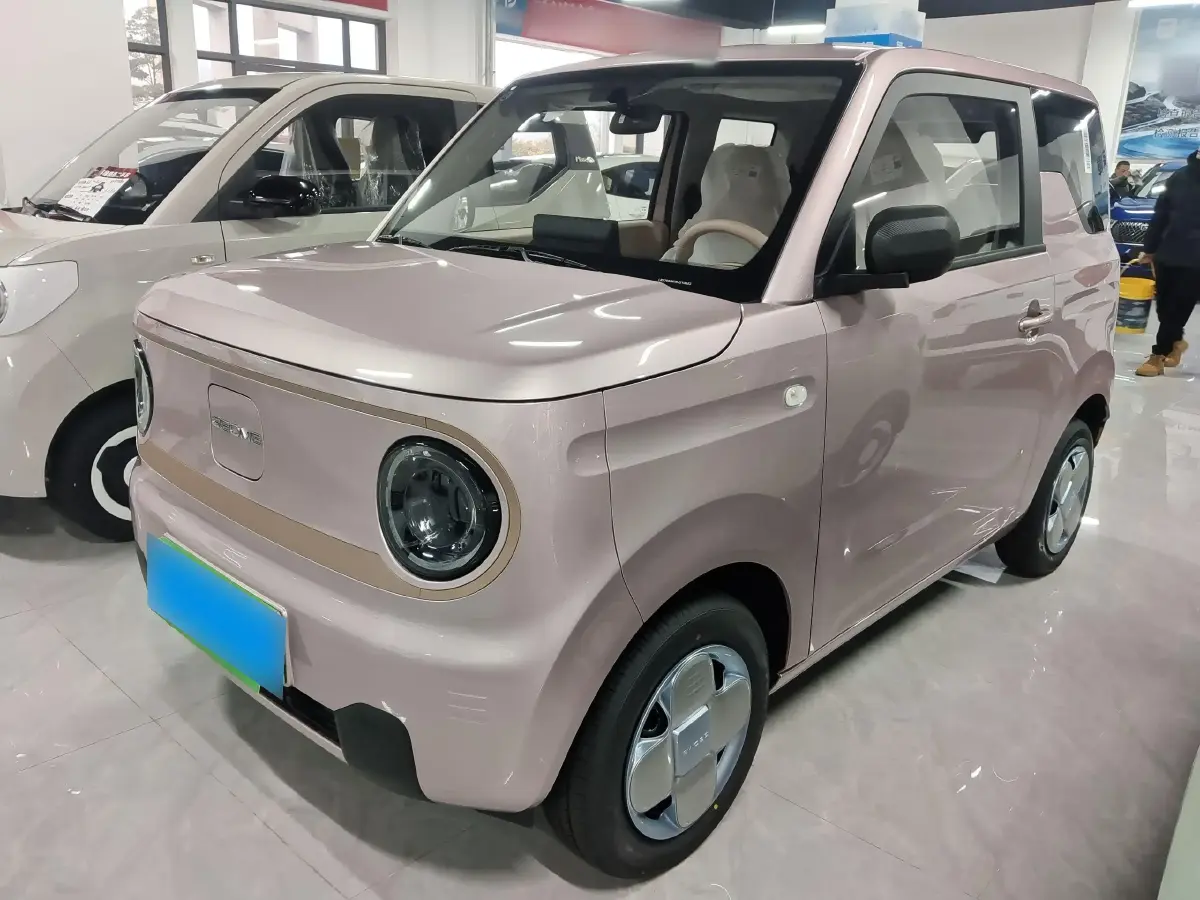 2024 Geely Panda BEV 17.03KWH