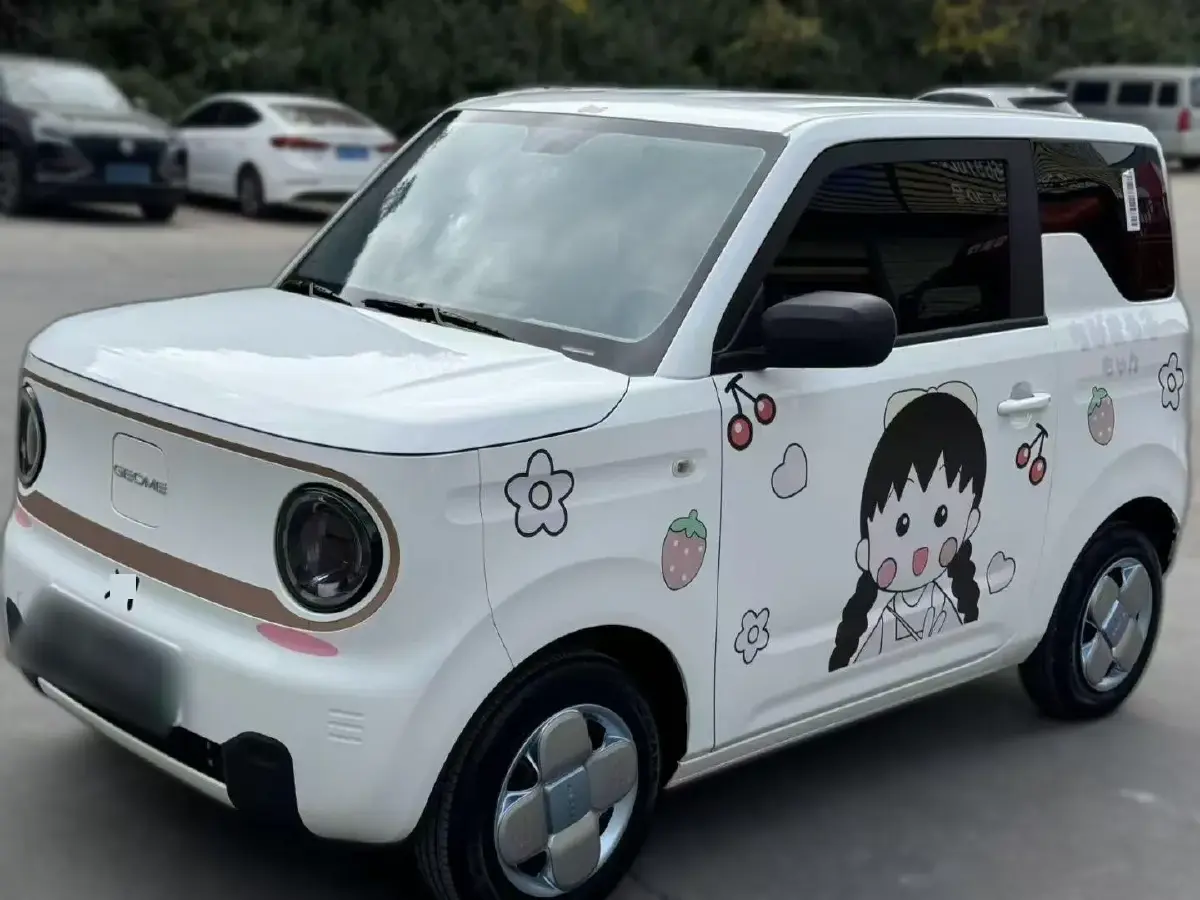 2023 Geely Panda BEV 17.03KWH