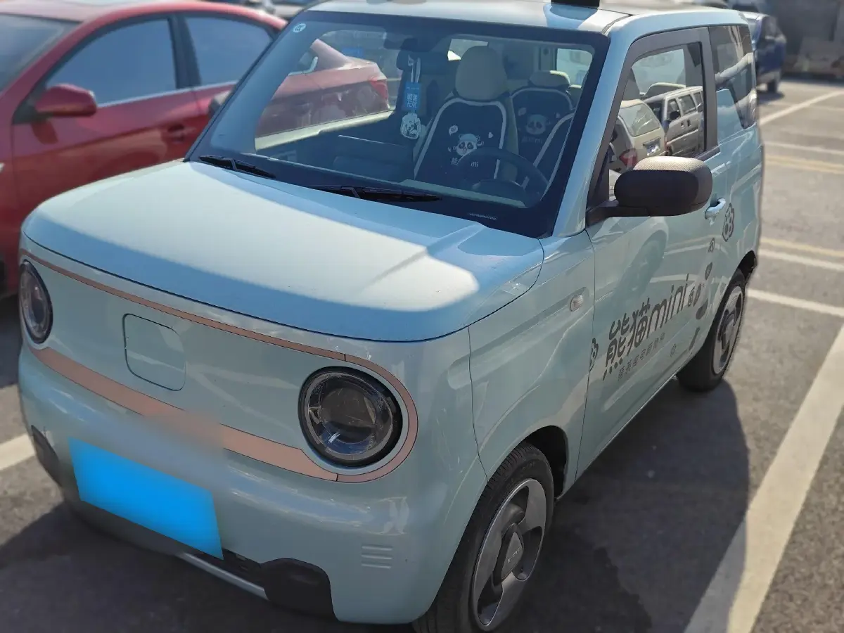 2023 Geely Panda BEV 17.03KWH