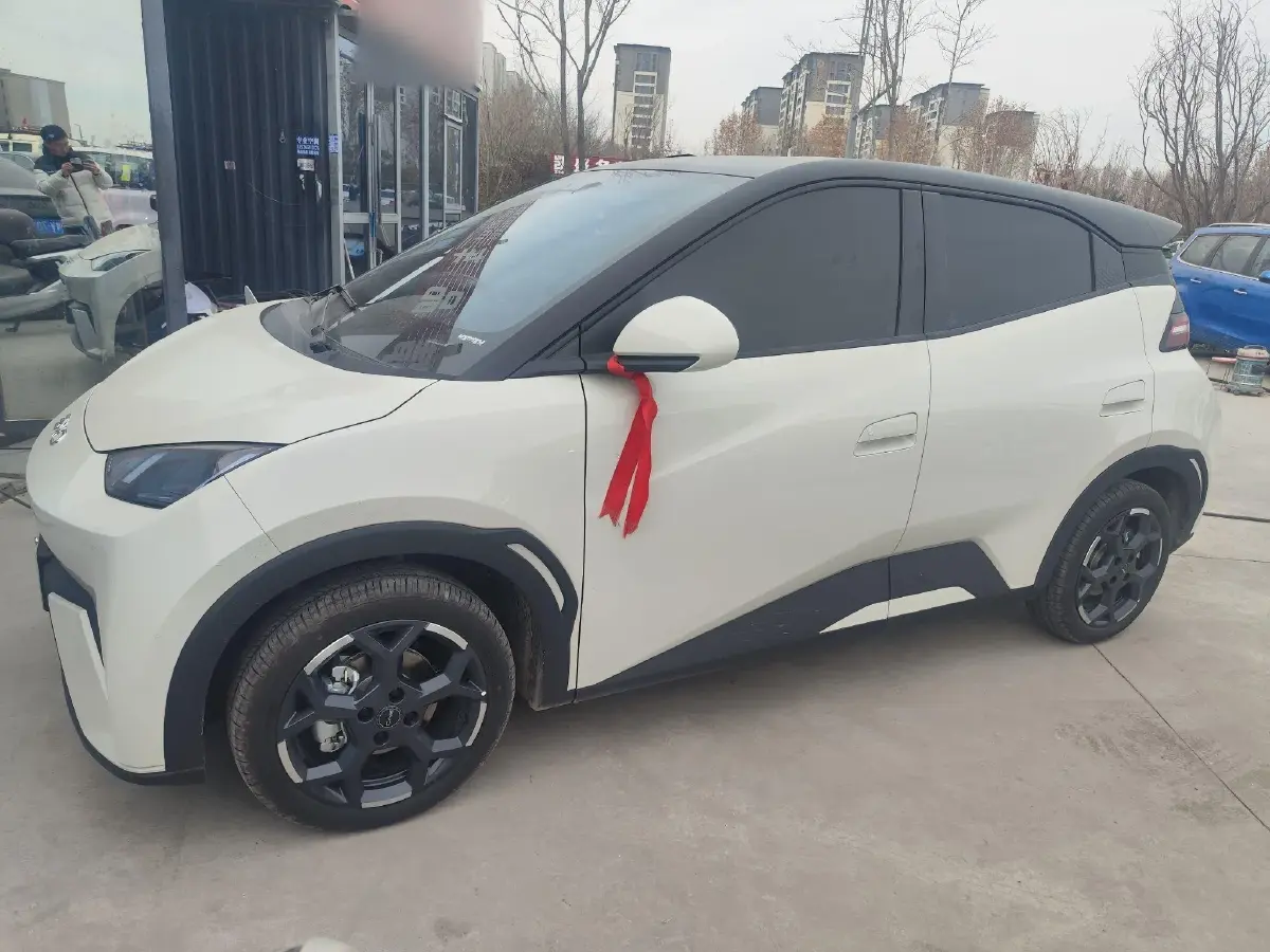 2025 BYD Seagull BEV 30.08KWH