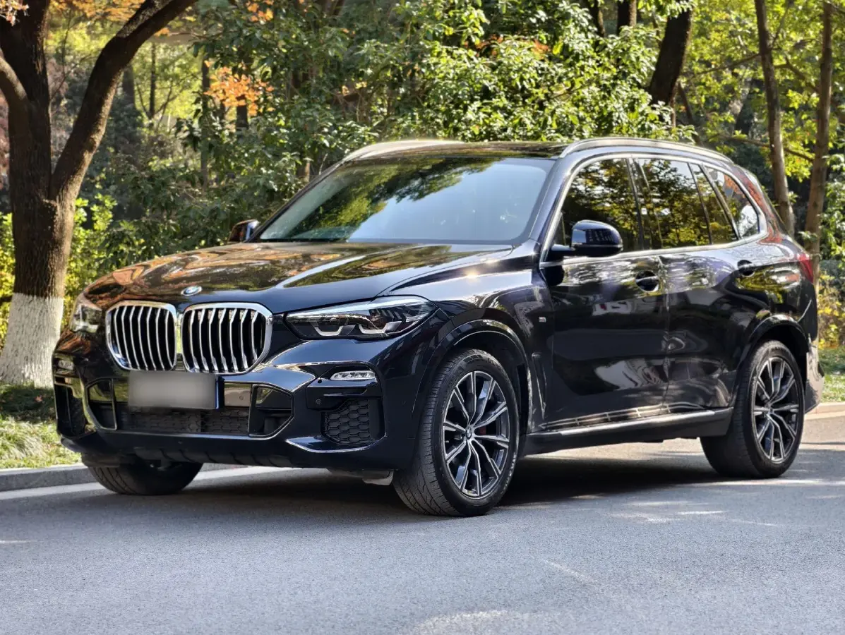 2021 BMW X5 2.0T 265HP L4 8AT