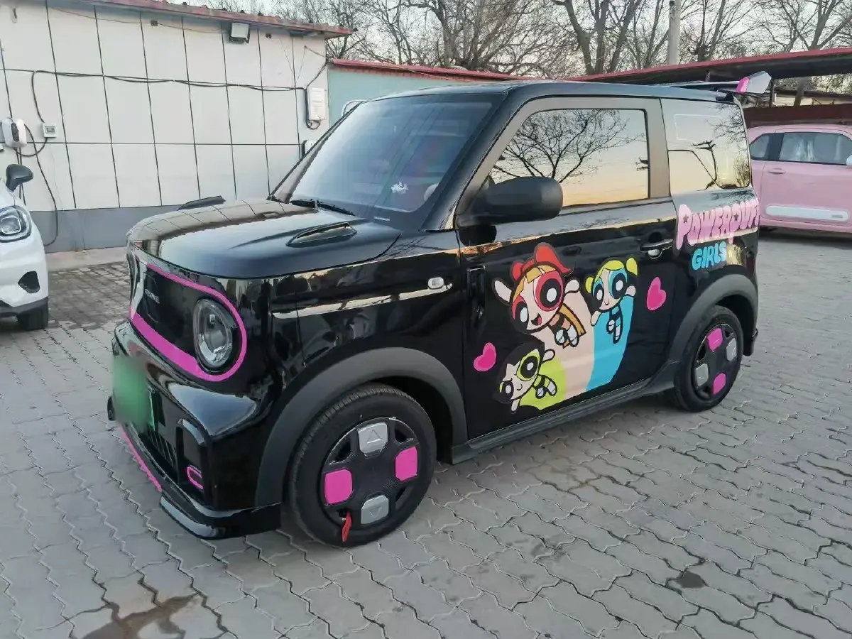 2024 Geely Panda BEV 17.03KWH