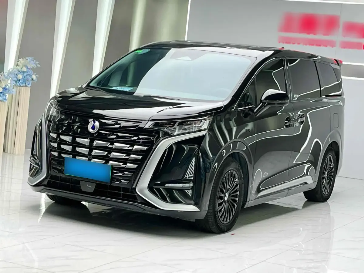 2022 Denza D9 1.5T 139HP L4 E-CVT PHEV 40.06KWH