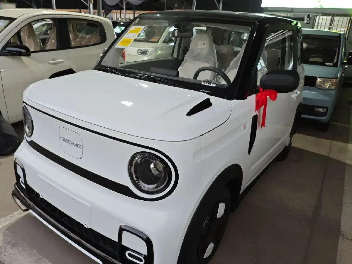 2025 Geely Panda BEV 17.03KWH