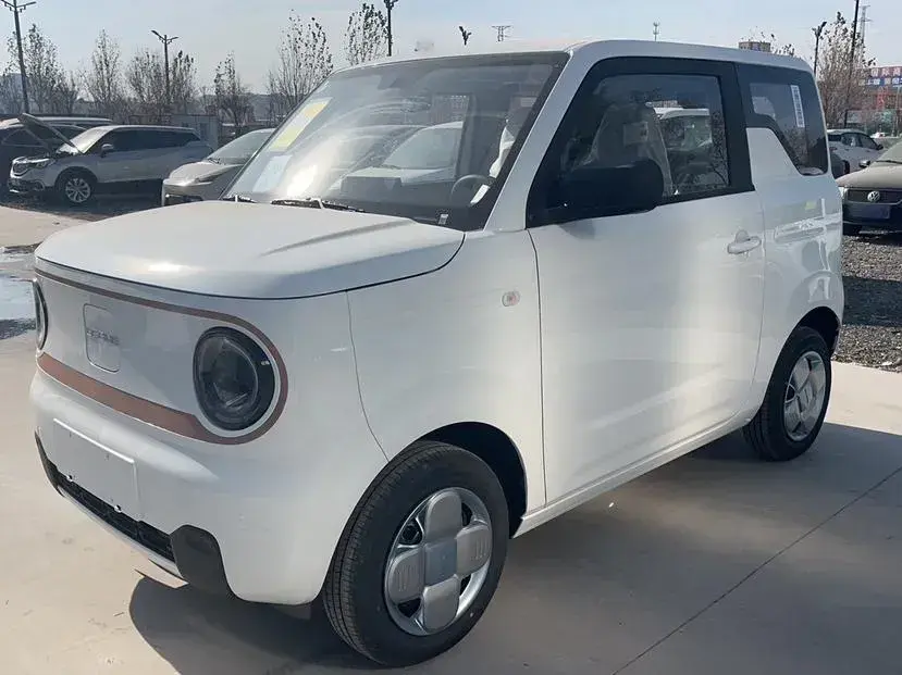 2024 Geely Panda BEV 17.03KWH
