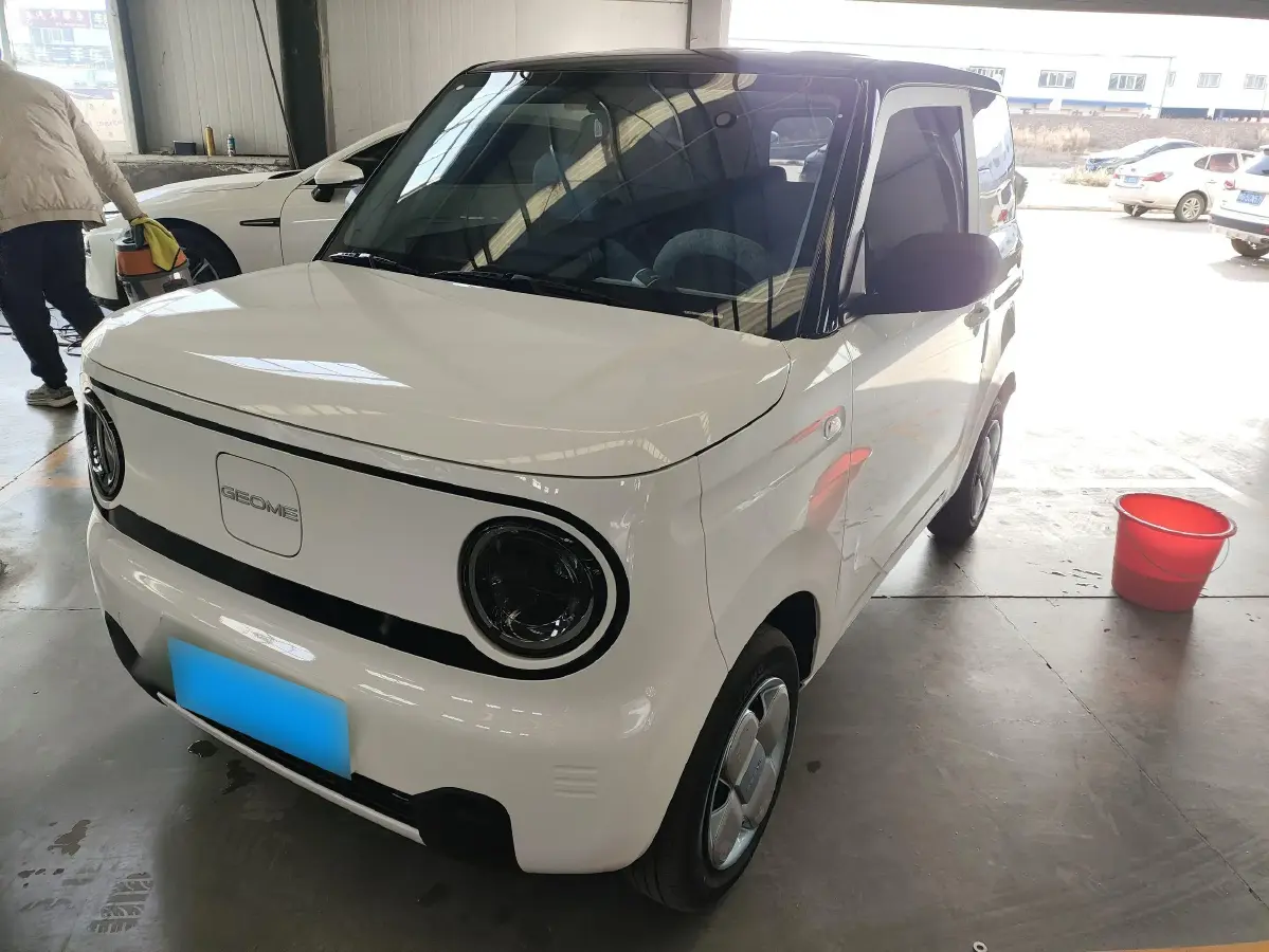 2024 Geely Panda BEV 17.03KWH