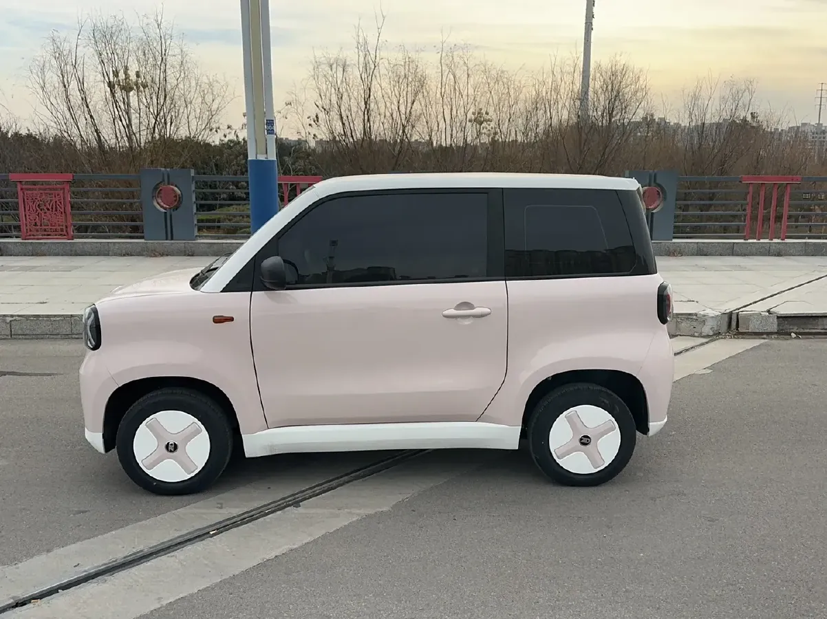 2024 ZD Rainbow BEV 17.3KWH,autocango,china used car exporter,china ev exporter,chinese used car exporter,chinese used ev exporter