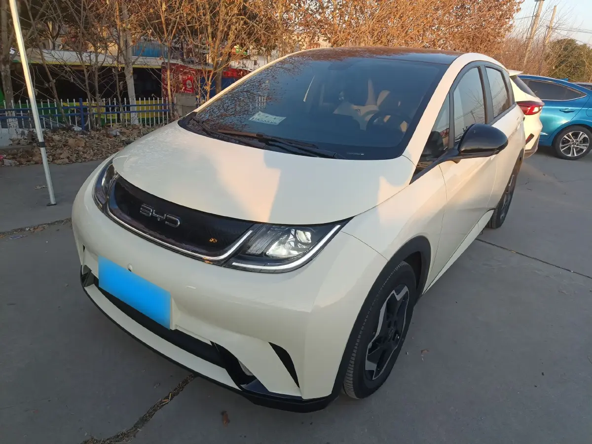 2021 BYD Dolphin BEV 44.9KWH