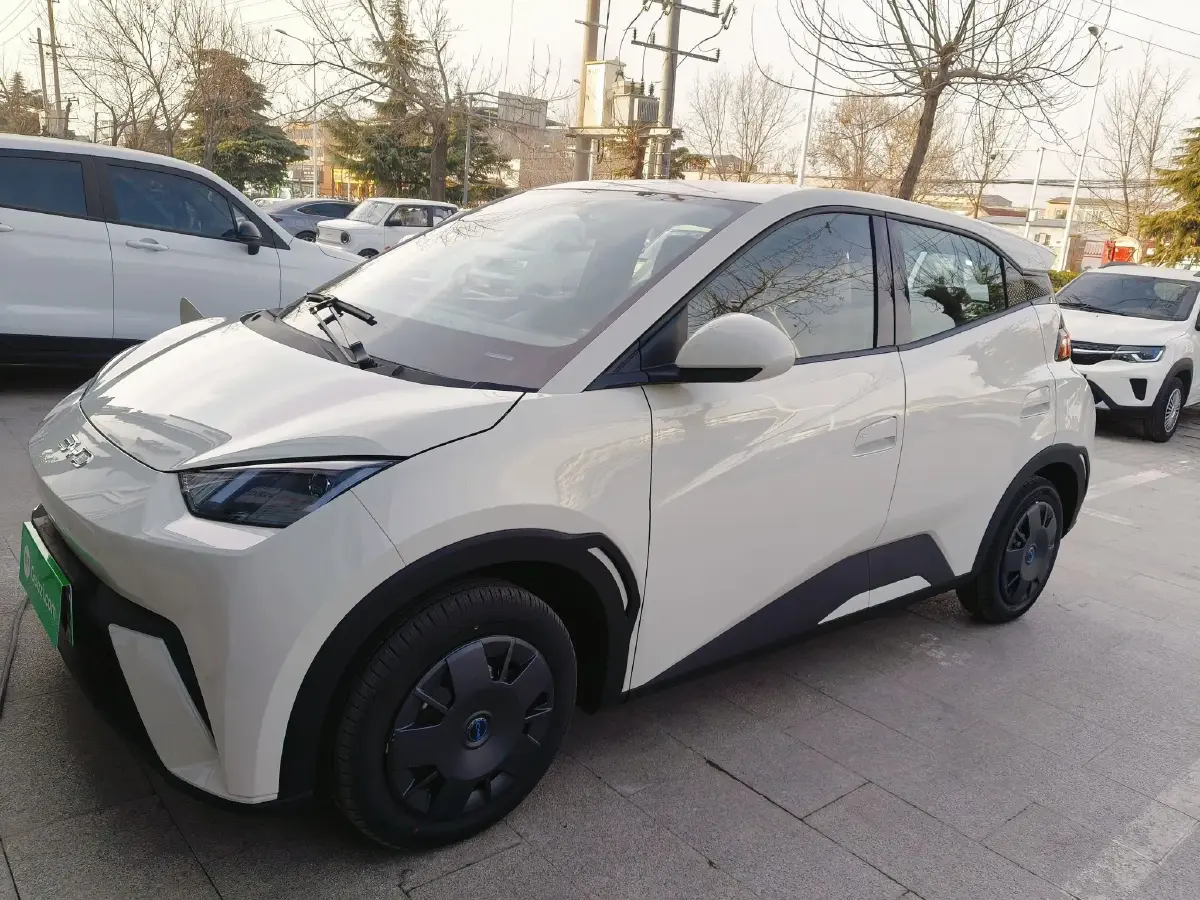 2025 BYD Seagull BEV 30.08KWH
