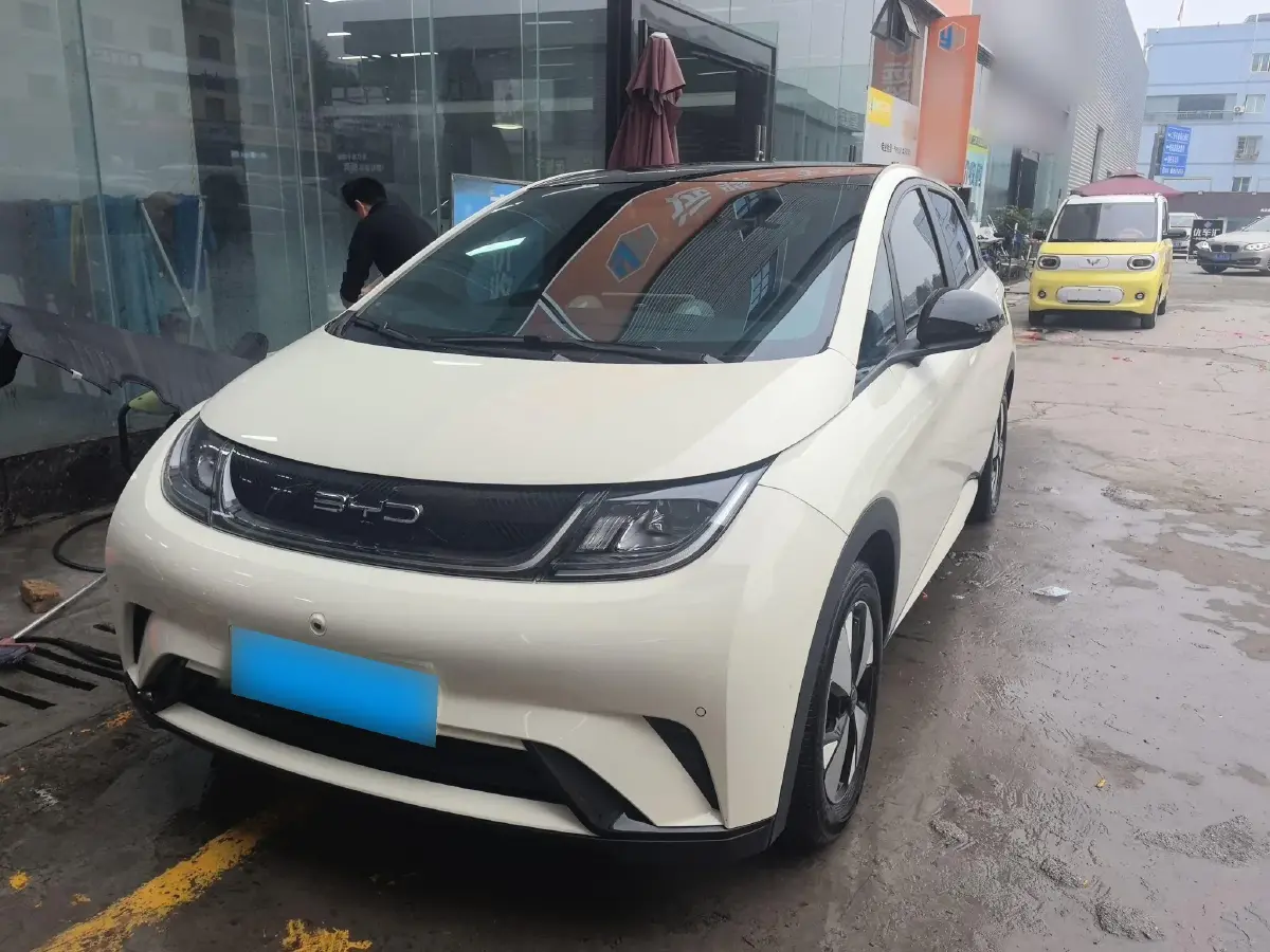 2023 BYD Dolphin BEV 44.928KWH